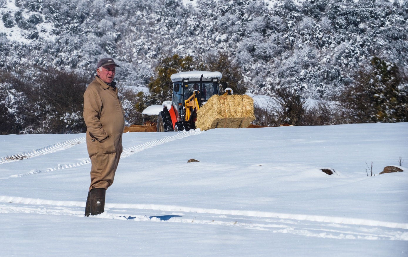 Los ganaderos continúan con sus labores diarias pese a la nieve.