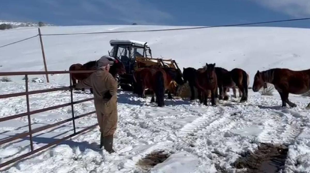 Campoo se cubre de nieve