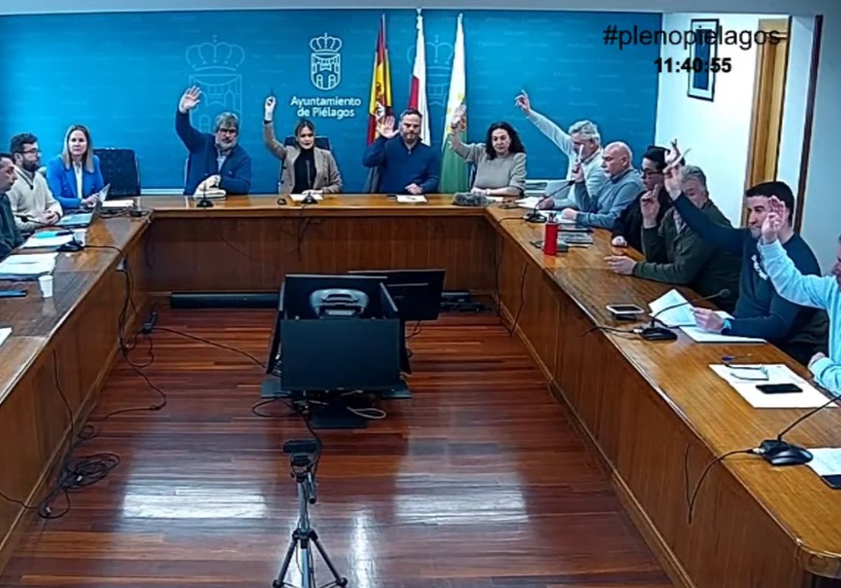 Momento de la votación de uno de los puntos del Pleno extraordinario que ratificó el procedimiento llevado a cabo por los técnicos en las contrataciones efectuadas con María Luisa Rebolledo Deschamps y Ágora espacio de formación feminista.