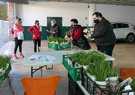 Vecinos recogiendo sus lotes de plantas en una edición pasada.