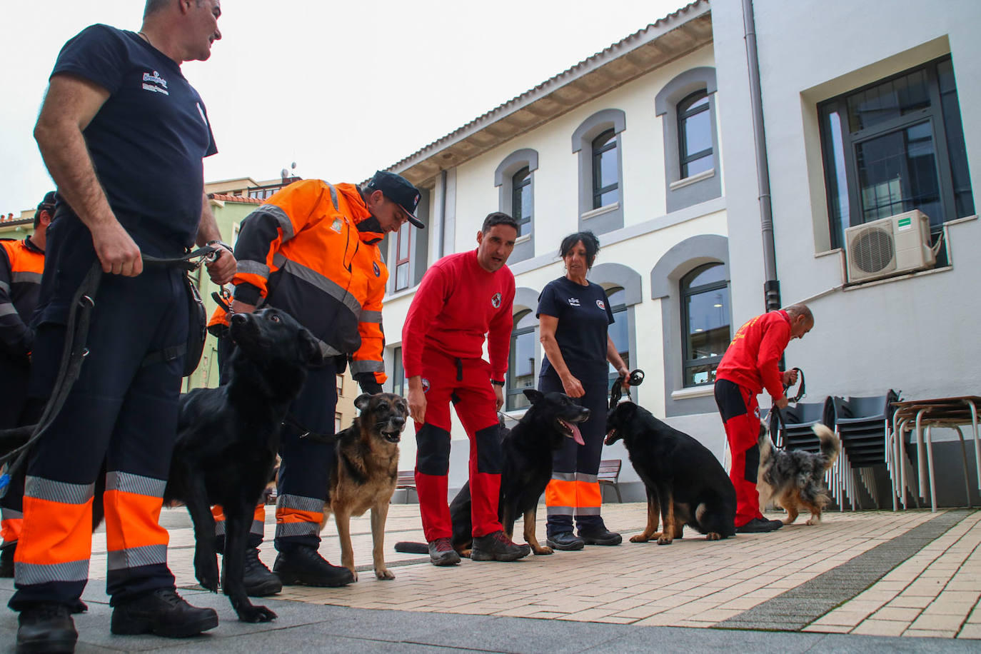 Shiva, Kira, Roky, Drago y Roys junto a voluntarios de la asociación.