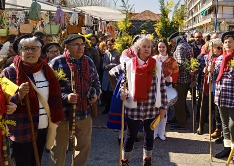 Imagen secundaria 1 - El día soleado permitió disfrutar de un precioso paseo por la villa laredana entonando las coplas marceras inspiradas en su vocación pescadora y en la Batalla de Flores 