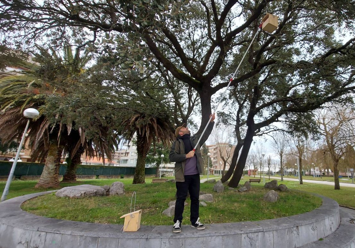 Diego de Vallejo coloca una de las cajas nido en un árbol situado en las inmediaciones de la rotonda de Carlos V.