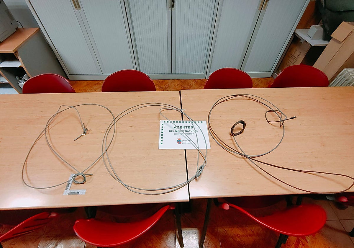 Lazos interceptados al vecino de Arenas de Iguña denunciado.