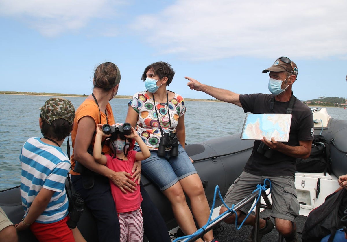 Una de las salidas para conocer las Marismas del Conde, hábitat de las águilas pescadoras.