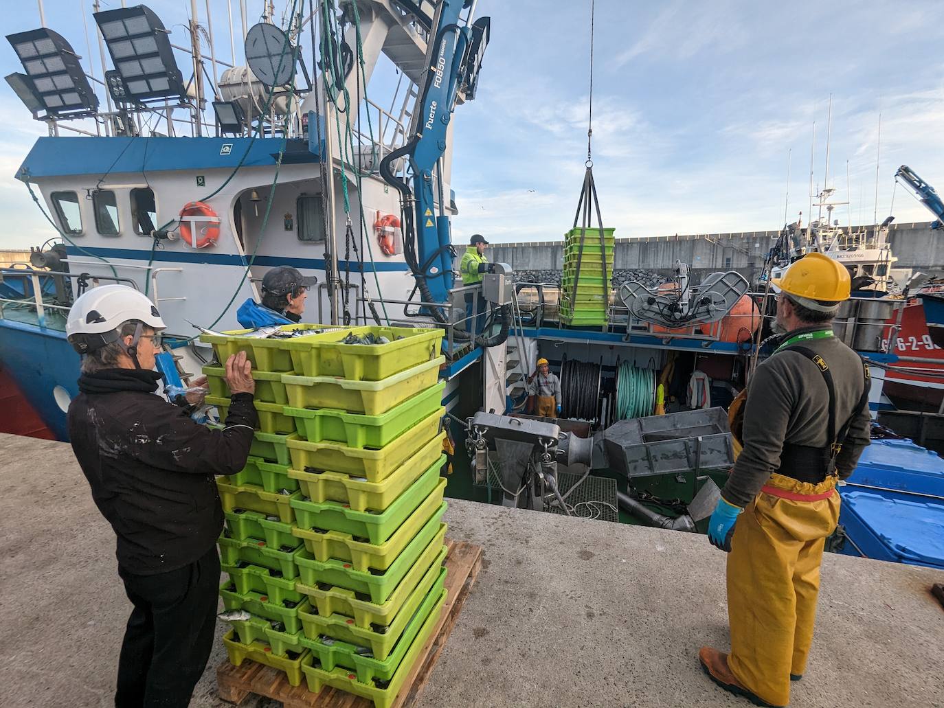 Las cajas de verdel son manipuladas cuidadosamente para que lleguen en estado óptimo a la lonja.