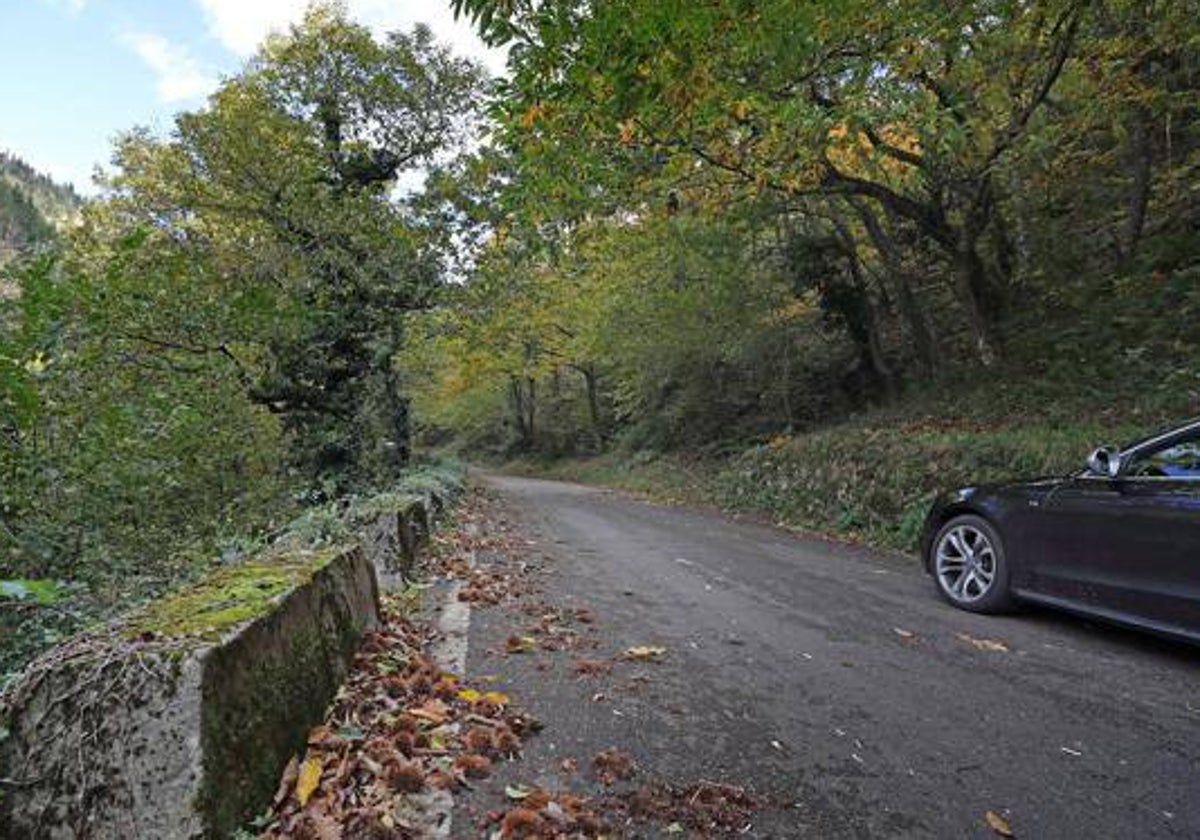 Un vehículo atraviesa la carretera que lleva a Los Tojos.