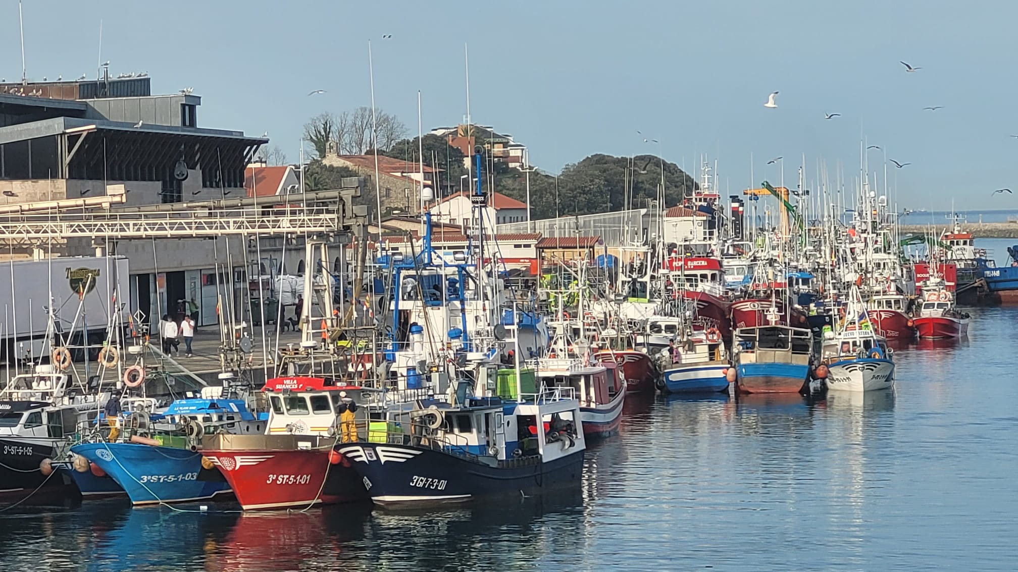 Numerosos pesqueros llegados de diferentes puertos han atracado en el de San Vicente de la Barquera