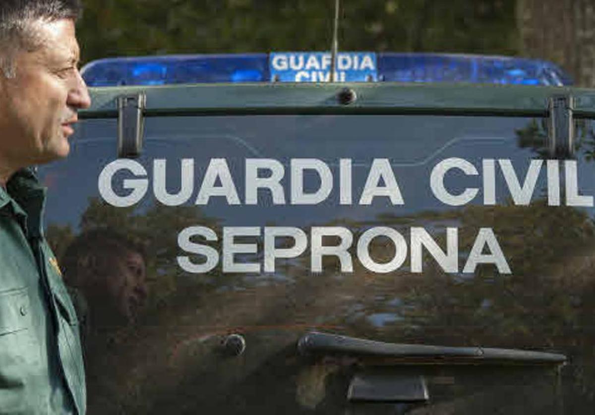 Agente del Seprona.