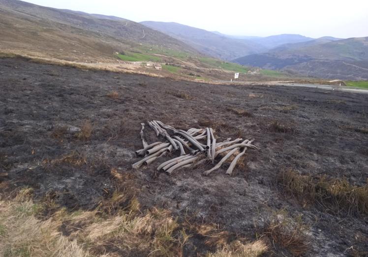 Imagen principal - Zona de Campoo de Yuso que ha aparecido esta mañana quemada.