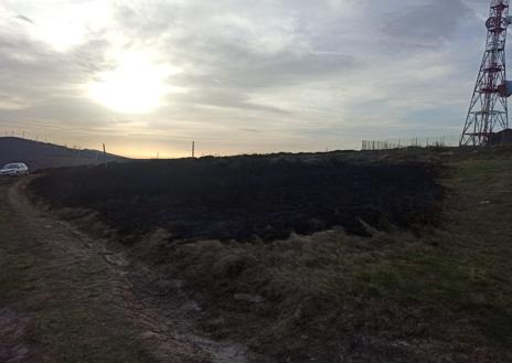 Imagen secundaria 1 - Zona de Campoo de Yuso que ha aparecido esta mañana quemada.