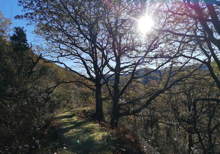 Imagen principal - Durante la ruta podéis encontrar multitud de rincones dignos de ser fotografiados.