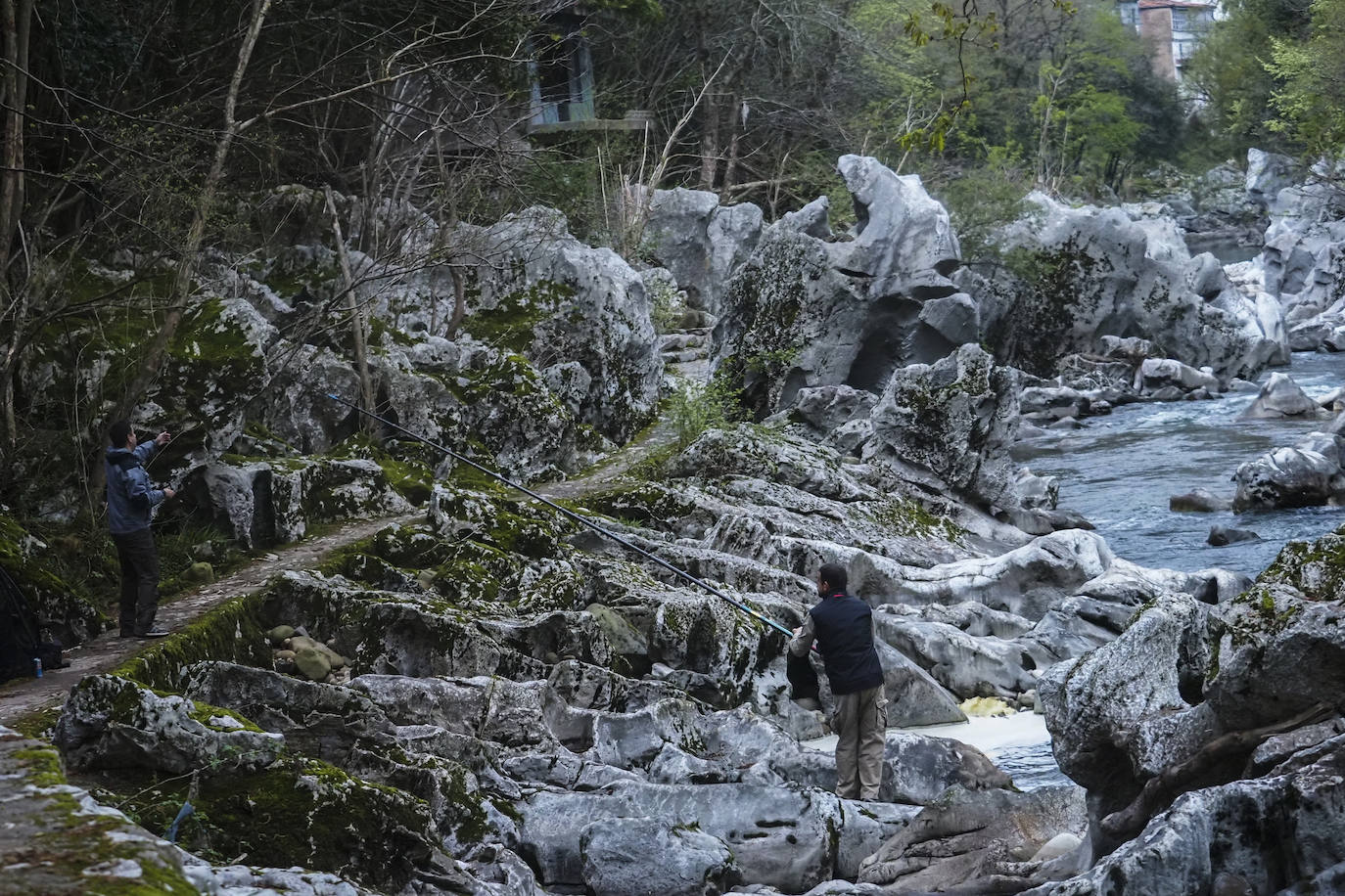 Un aficionado lanza la caña en el Pas, a su paso por la localidad de Puente Viesgo