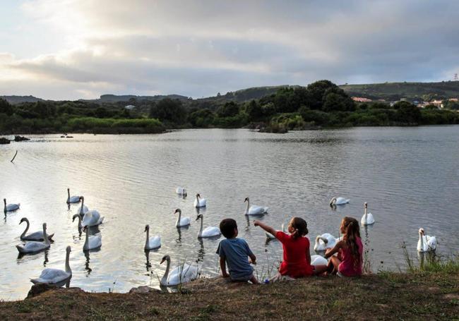 Imagen del Ecoparque de Trasmiera.