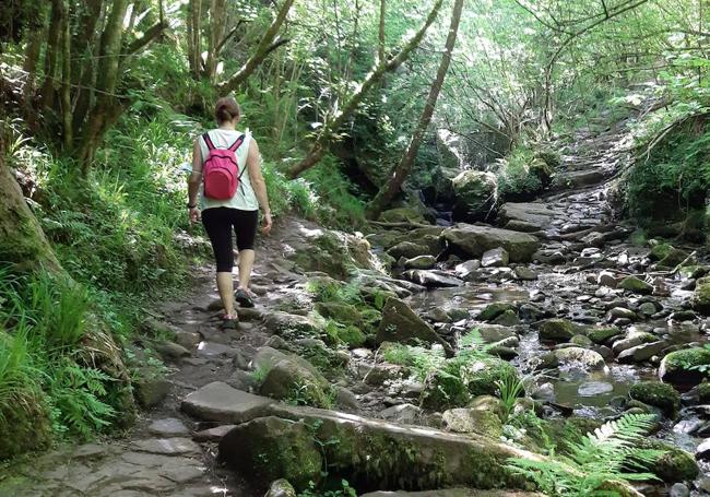 En este valle os poponemos dos opciones para disfrutar en familia de rutas por la naturaleza que no dejan indiferente a nadie. En la imagen, un tramo de la ruta de La Canal.