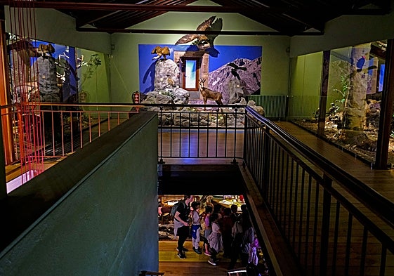 Estudiantes observan la recreación del despacho de Darwing antes de acceder a la primera planta del museo