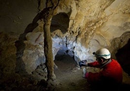 Una cavidad del Asón acogerá este sábado una Jornada de bio-espeleología