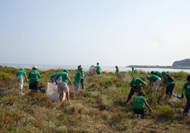 Voluntarios retiran plantas invasoras en las dunas de la playa Salvé en una de las anteriores ediciones.