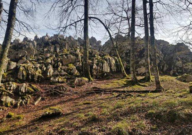 Zona del Jortigalón, muralla caliza en medio de bosques que se asoma a verticalidades tajantes y al río Pomperi, afluente del río Dobra y, luego, del Sella.