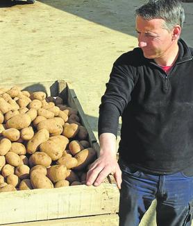 Imagen secundaria 2 - 1. Alberto Antonio Ortega muestra lo seca que está la tierra. | 2. Heraclio Gómez, junto a un cajón con las patatas que cultiva.