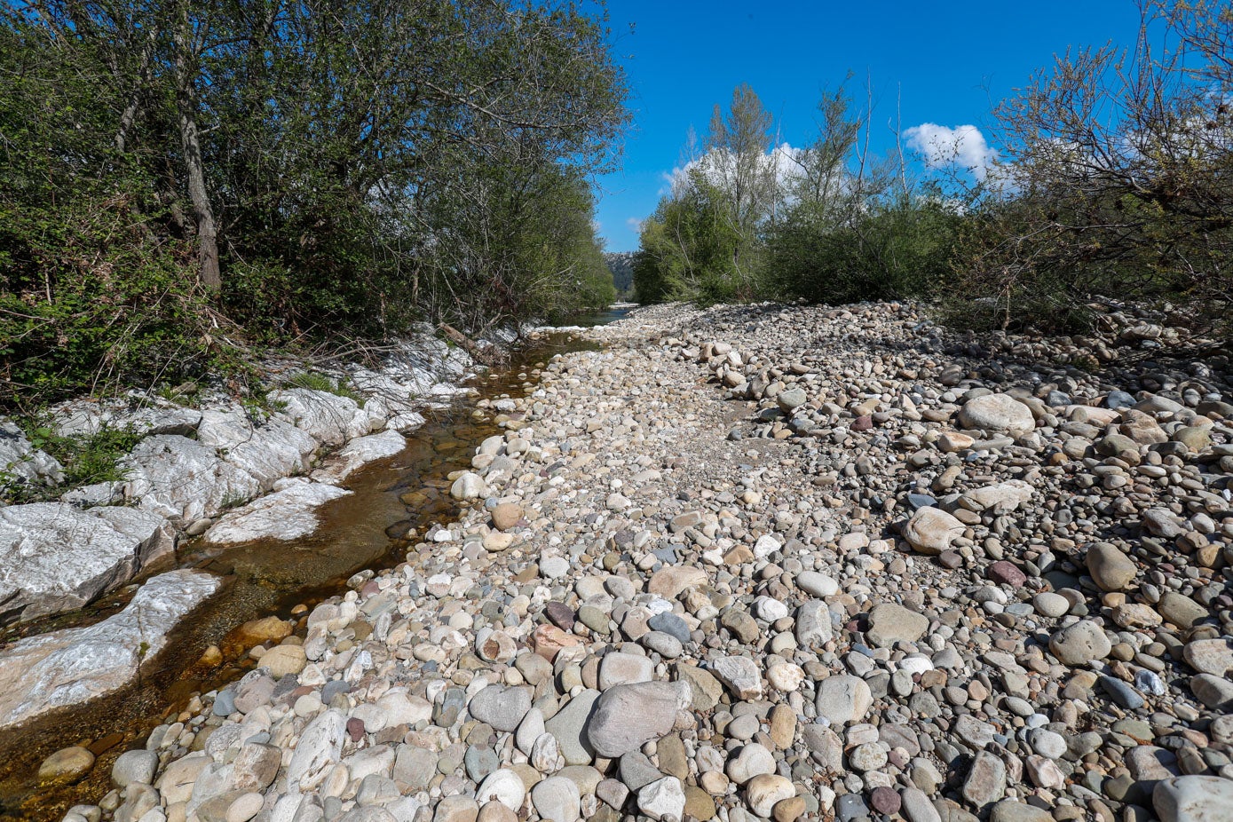 Esta preocupante imagen presenta el río Pas a la altura del Soto-Iruz, en el municipio de Santiurde de Toranzo.