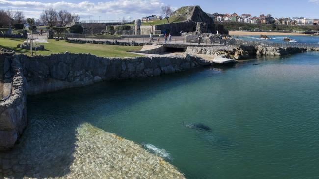 Imagen antes - ¿Piscinas en el minizoo de La Magdalena?