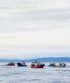 Imagen secundaria 2 - Numerosos barcos que se encontraban en la zona acudieron a la llamada de auxilio del Novo Xoel.