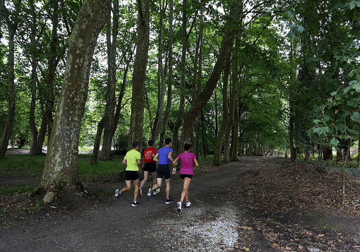 Un grupo de atletas entrena en el circuito del Patatal.