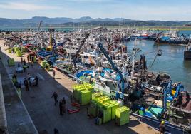 Pesqueros en el puerto de Santoña