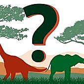 ¿Cuánto sabes sobre dinosaurios y elefantes?