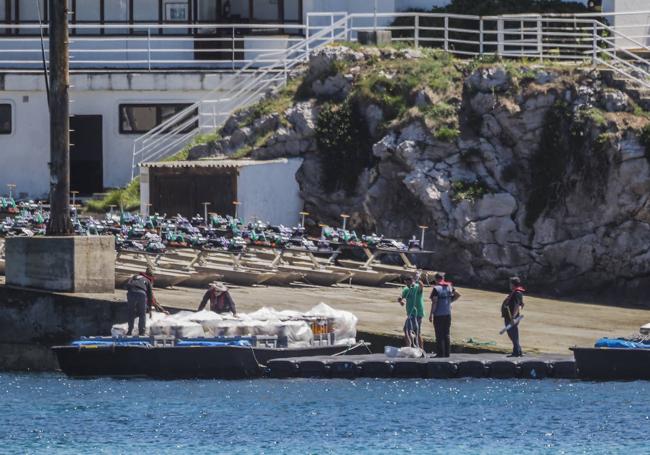 Varios técnicos ultiman detalles, ayer, en la isla de la Torre.