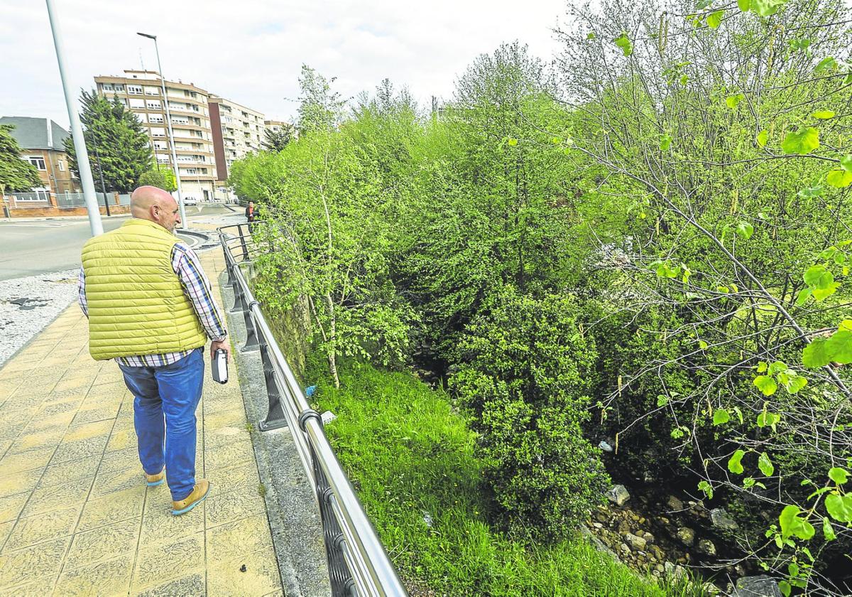 La parcela se ha convertido en un bosque de maleza y ruinas en pleno corazón de Torrelavega.