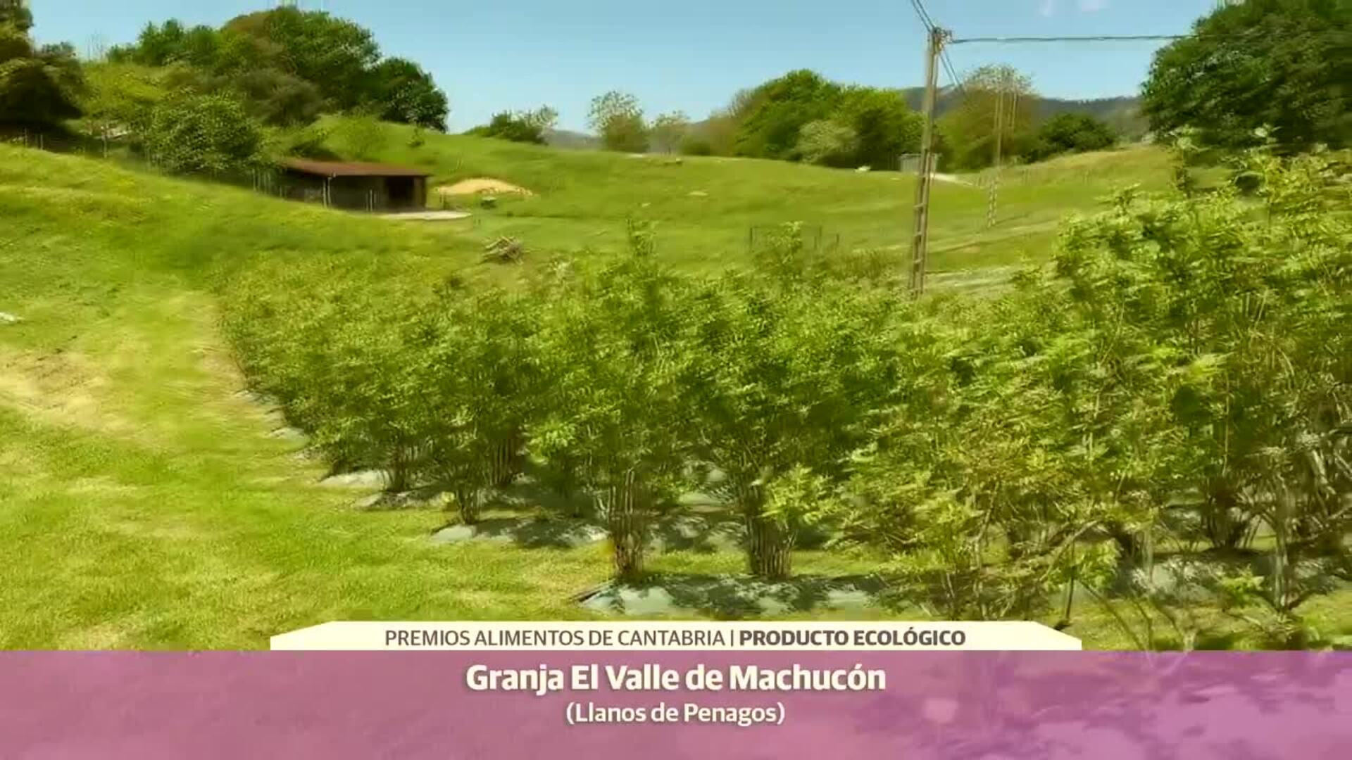 Premio Producto ecológico: Miguel Ángel Anievas