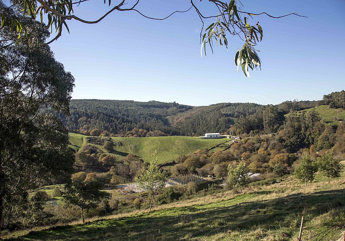 Imagen del Área Natural de Especial Interés El Pendo-Peñajorao