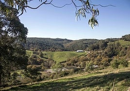 Imagen del Área Natural de Especial Interés El Pendo-Peñajorao