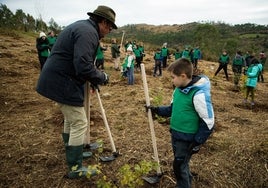 Plantación en el 'Bosque del cine' de Udía.