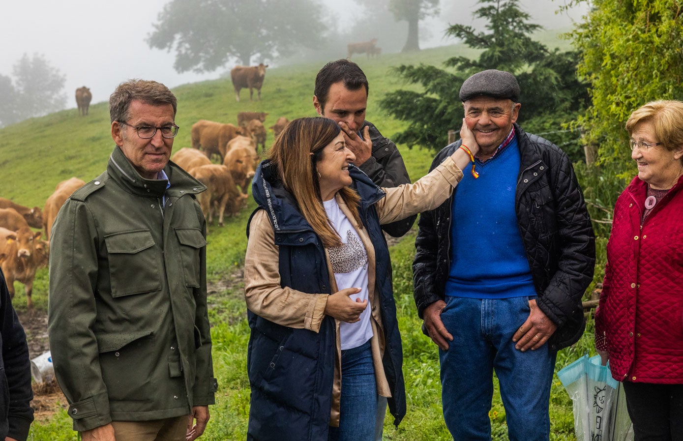 Feijóo y Sáenz de Buruaga visitan la explotación ganadera.