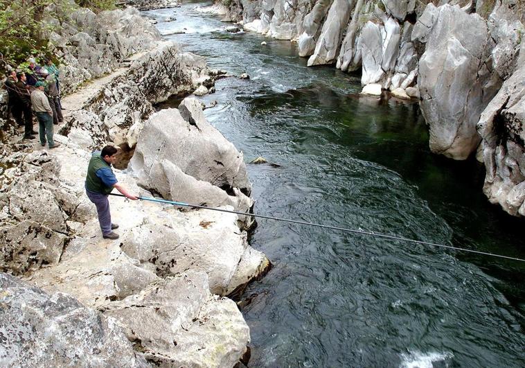 Un pescador en el río Pas, a la altura de Puente Viesgo.