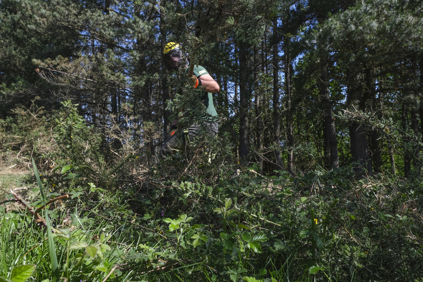 Desbrozar y limpiar zonas de matorral es la dinámica más habitual. Se realiza para crear zonas de seguridad y para proteger zonas de especial valor ecológico, como los bosques.