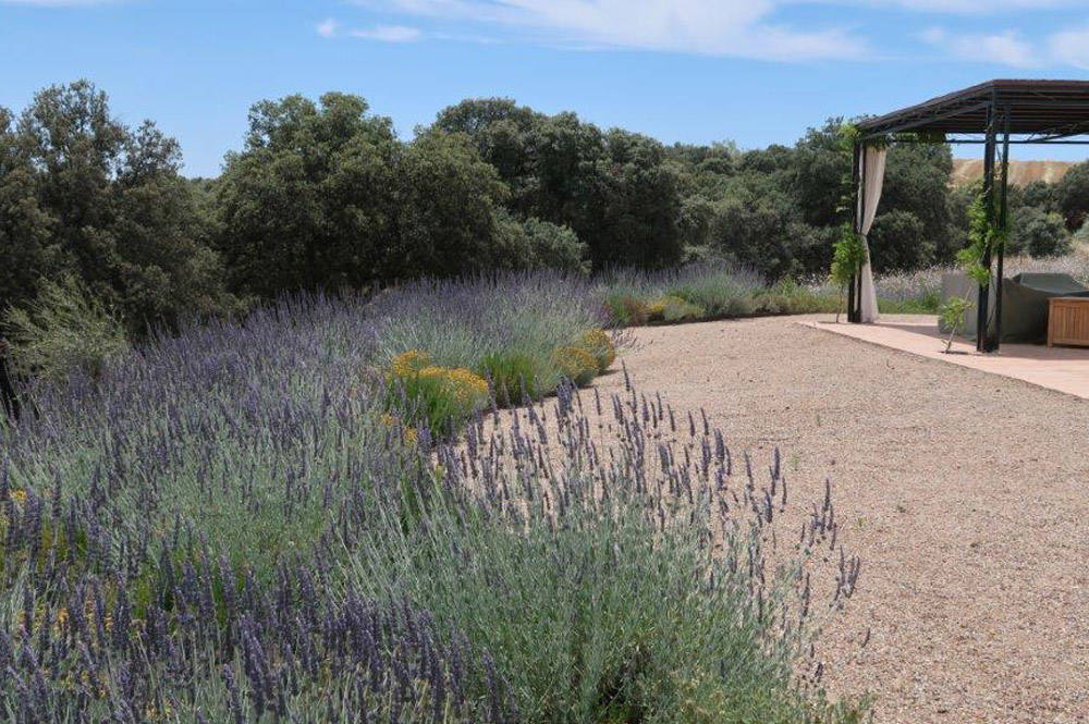 Jardín hecho por el paisajista en Alcaudete de la Jara (Toledo).