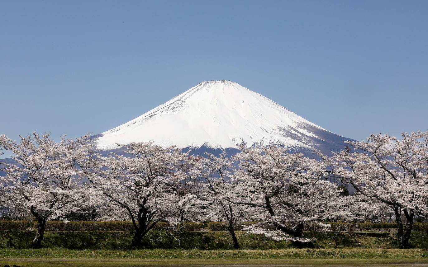 Vistas del parque Arakurayama Sengen