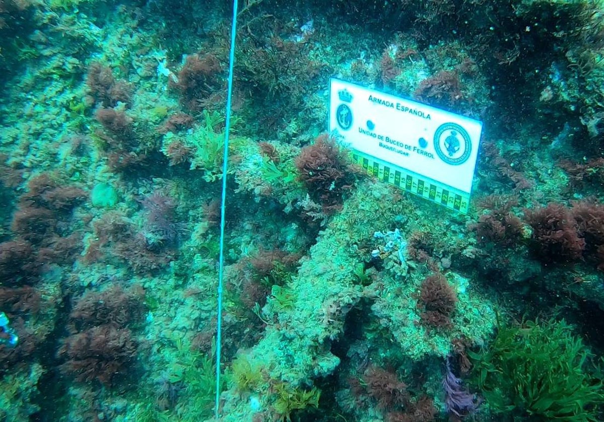 Imagen del ancla hallada sumergida en las aguas de la Península de la Magdalena.