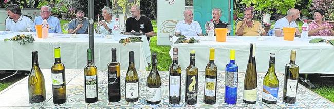 Los vinos fueron los protagonistas de la cata presentación. Detrás, los representantes de las bodegas.