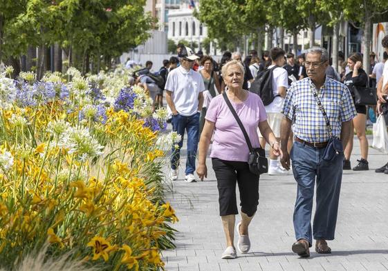 La plantilla de Parques y Jardines estudia y trabaja en la plantación de parterres, repartidos por la ciudad, y que incluyan nuevas combinaciones de colores.