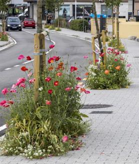 Imagen secundaria 2 - A la izquierda, la calle Castelar, otra zona de Santander donde encontrar flores. A la derecha, uno de los primeros alcorques más floridos está en la calle Repuente