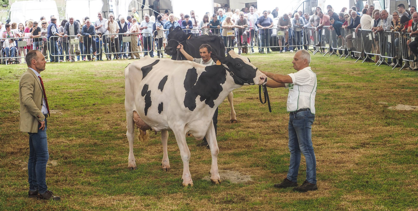 El evento se celebró un año más en la carpa situada junto al aparcamiento de camiones, frente al IES Valle de Piélagos.