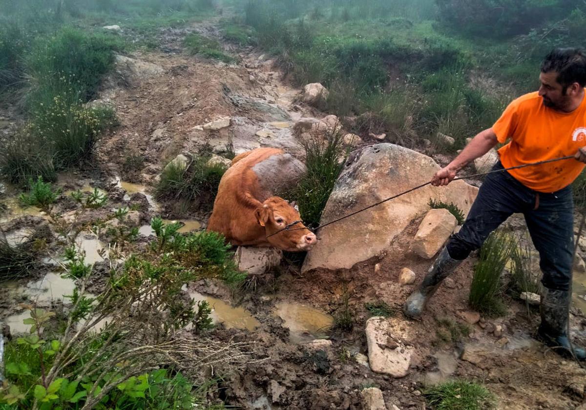 El rescate de Angelita