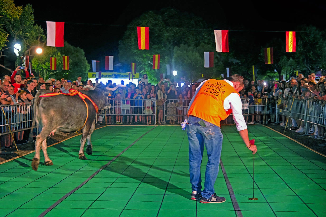 Imagen secundaria 1 - Artillera apenas tardó cinco minutos en decidir en quçé cuadrante defecaba. En las imágenes, el juez del concurso muestra la caca de la vaca.