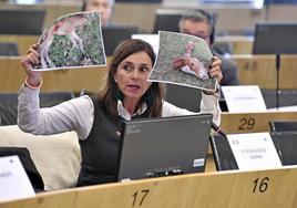 Paula Fernández, en una de sus últimas intervenciones en Bruselas.