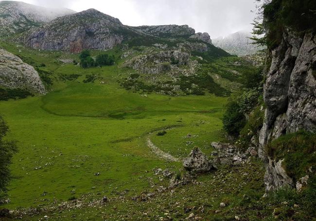 La vega del Bricial, vestida de intenso verde, recibe al caminante tras superar la bajada boscosa de Palomberu.